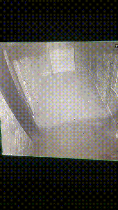 3DM轻松一刻第959期 把常光顾的小姐姐娶回家!