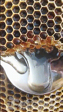 3DM轻松一刻第959期 把常光顾的小姐姐娶回家!