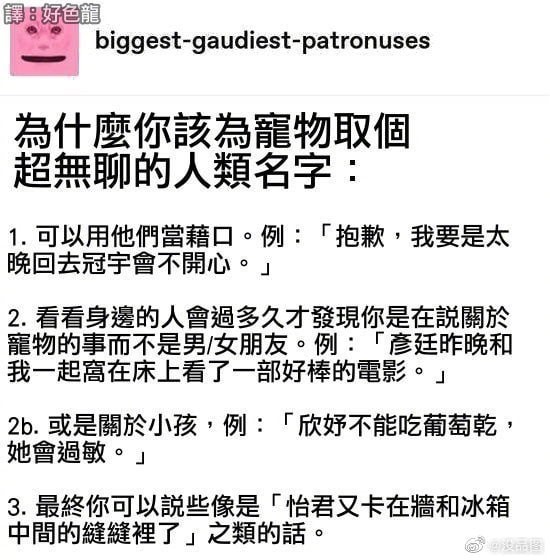 3DM轻松一刻第959期 把常光顾的小姐姐娶回家!