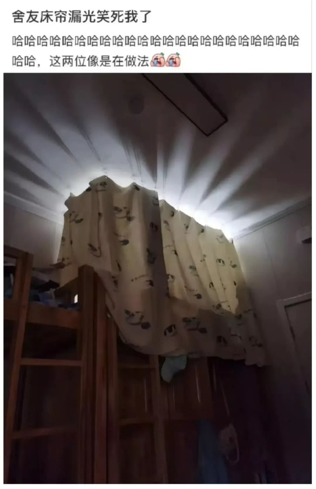 3DM轻松一刻第959期 把常光顾的小姐姐娶回家!