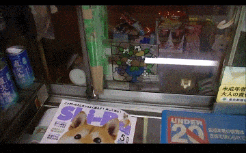 3DM轻松一刻第959期 把常光顾的小姐姐娶回家!