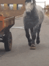 3DM轻松一刻第959期 把常光顾的小姐姐娶回家!