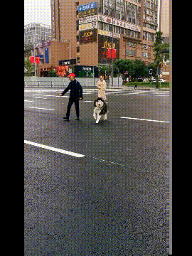 3DM轻松一刻第959期 把常光顾的小姐姐娶回家!