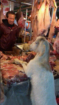 3DM轻松一刻第959期 把常光顾的小姐姐娶回家!