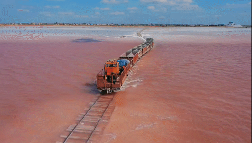 3DM轻松一刻第959期 把常光顾的小姐姐娶回家!