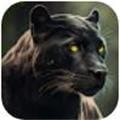 ҰģWild Panther Animal Life Simapkֻ