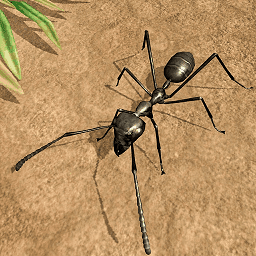 昆虫发育模拟器游戏最新版