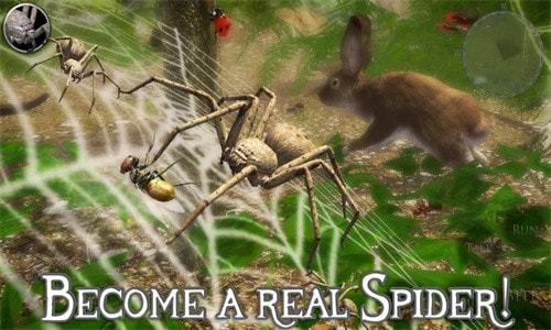 终极蜘蛛模拟器2(Spider Colony Simulation 3D)