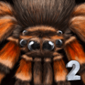 终极蜘蛛模拟器2(Spider Colony Simulation 3D)游戏下载