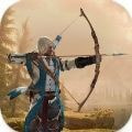 弓箭手刺客射击Archer Assassinapk手机游戏