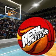 真实篮球3Dbasketball3Dapk手机游戏