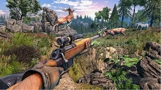 野鹿狩猎射击（DeerHunting）最新下载2
