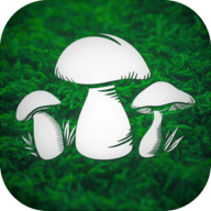 真实采蘑菇模拟器(Real Mushroom Hunting)下载安装免费正版