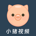 小猪视频播放器安卓中文免费下载