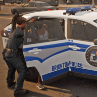 警察模拟巡逻办公室（Police Simulator Patrol Officer）免费最新版