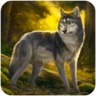 独狼模拟器(The Wolf Simulator)免费手机游戏下载