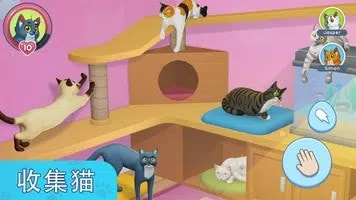 我的宠物猫模拟器(My Pets Cat Simulator)无广告安卓游戏2