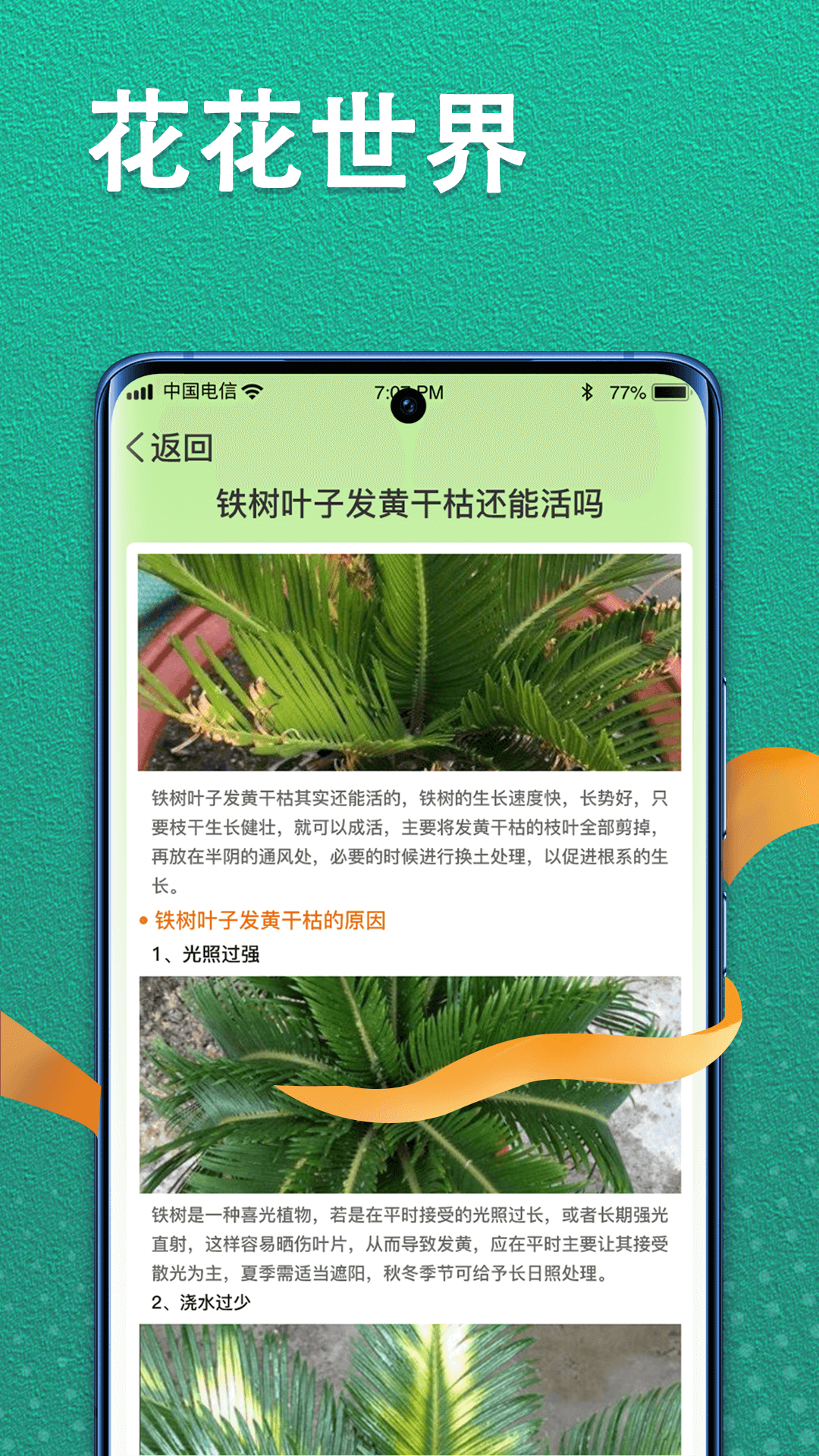 植物视界