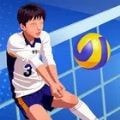 单挑排球(Volleyball Duel)app免费下载