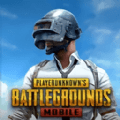 pubg茶茶直装手机客户端下载