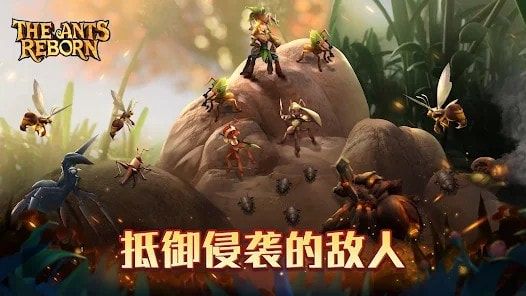 蚁国兴盛之地(The Ants Reborn)