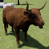 高地牛模拟器（Highland Cattle Sim）最新手游版
