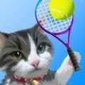 猫咪网球冠军
