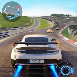 帕萨特汽车驾驶模拟人生(Passat Car Driving)最新手游游戏版