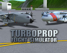 Turboprop Flight Simulatorֻ
