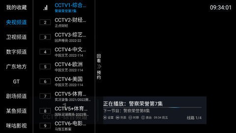 大大TV