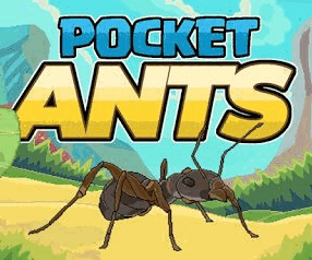 Pocket Ants手游