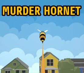 Murder Hornet游戏