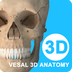 维萨里3D解剖客户端下载升级版