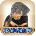 HK DOGS APP手机正版下载