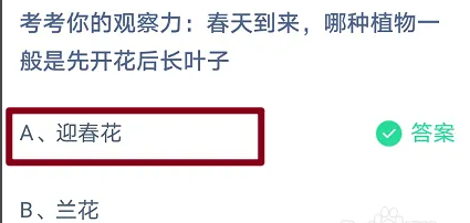 蚂蚁庄园小课堂小鸡答题今日答案2023.3.25-春天到来哪种植物一般是先开花后长叶子？